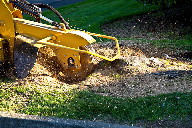 Best Soil Testing and Treatment  in Agoura Hills, CA